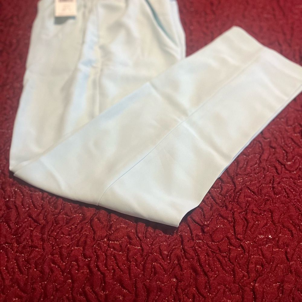 Petite Light Blue Pants
